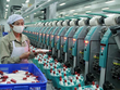 Việt Nam và Ấn Độ có nhiều tiềm năng để thúc đẩy hợp tác trong lĩnh vực dệt may, trong đó có việc kéo các DN Ấn Độ sang đầu tư tại Việt Nam sản xuất nguyên liệu.