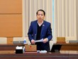 Chủ nhiệm Ủy ban Pháp luật Hoàng Thanh Tùng báo cáo tại phiên họp sáng 11/1