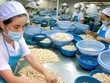 Năm 2020, xuất khẩu điều đạt kỷ lục hơn 500 ngàn tấn nhưng giá trị giảm