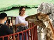 Một thế hệ ưa trải nghiệm…