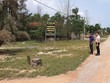 Nhà đầu tư đang đổ xô tìm mua các lô đất dọc 2 bên tuyến đường liên thôn của xã Ngư Thủy Bắc (huyện Lệ Thủy, Quảng Bình)