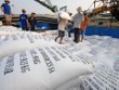Giải mã đà tăng của giá gạo xuất khẩu