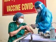 Thống kê của Bộ Y tế, hiện đã có gần 50.000 người Việt Nam tiêm chủng vắc-xin Covid-19.