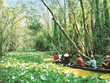 Du lịch sông nước là một trải nghiệm không thể bỏ qua khi đến Đồng Tháp