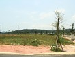 Đất nền tỉnh lẻ đang được nhiều nhà đầu tư quan tâm. Ảnh: Thành Nguyễn