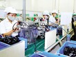 Dây chuyền sản xuất tự động linh kiện xe máy Honda ở Công ty TNHH Việt Nam Toyo Denso (VNTEC) - Thành viên của Toyo Denso Group, Nhật Bản tại KCN Nam Sách. Ảnh: Thành Chung