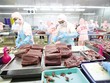  Chế biến cá ngừ xuất khẩu tại Nhà máy Thủy sản Hồng Ngọc