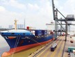 Cần đánh giá kỹ tác động của việc thu phí hạ tầng cảng biển, tránh tạo thêm gánh nặng cho doanh nghiệp.