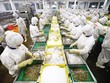 Những doanh nghiệp có chuỗi sản xuất cần được ưu tiên hỗ trợ trong bối cảnh khó khăn hiện nay. Ảnh: Đ.T