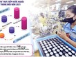 Lần đầu tiên, Việt Nam nằm trong top 20 nước thu hút FDI nhiều nhất thế giới, song xu hướng giảm sút nguồn FDI đã bộc lộ khá rõ trong những tháng gần đây. Ảnh: Đức Thanh. Đồ họa: Đan Nguyễn