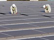 Các dự án năng lượng tái tạo đang mong chờ chính sách mới để phát triển.