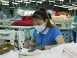 Chuỗi sản xuất dệt may đang bị đứt gãy nặng nề do nhiều nhà máy tại phía Nam phải tạm dừng sản xuất để đảm bảo phòng, chống dịch Covid-19