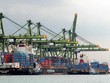 Cảng Pasir Panjang, Singapore. Ảnh: AFP