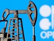 Giữa tuần này, chính quyền Tổng thống Biden đã kêu gọi OPEC+ tăng sản lượng khai thác để đối phó với tình trạng giá năng lượng leo thang.