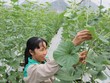 Tín dụng ngân hàng đang tập trung vào các lĩnh vực ưu tiên theo chủ trương của Chính phủ. Ảnh: Dũng Minh