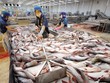 Nửa đầu năm 2021, hoạt động kinh doanh của Công ty cổ phần Thủy sản số 4 không có nhiều cải thiện.