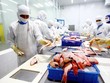 Các doanh nghiệp chế biến và xuất khẩu thủy sản là một trong những ngành chịu thiệt hại nặng bởi Covid-19. Ảnh: Đức Thanh