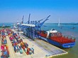 Cảng Lạch Huyện - Hải Phòng sẽ được Bộ GTVT kiểm tra, rà soát giá các loại dịch vụ cảng biển.