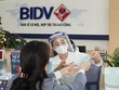 Đầu năm nay, BIDV là ngân hàng dẫn đầu thị trường về vốn điều lệ với hơn 40.000 tỷ đồng