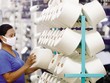 Điều doanh nghiệp cần nhất trong lúc này là hỗ trợ thanh khoản và giảm lãi suất mạnh hơn nữa. Ảnh: Đức Thanh