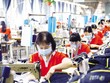 Hai tháng cuối năm 2021 và những tháng đầu năm 2022 được nhiều doanh nghiệp xem là “điểm rơi” của kế hoạch phục hồi, do vậy nếu tiếp cận được chính sách phù hợp, thì hoạt động sản xuất, kinh doanh sẽ trở lại rất nhanh. Trong ảnh: Dây chuyền sản xuất hàng xuất khẩu của Công ty cổ phần May Hồ Gươm. Ảnh: Đức Thanh