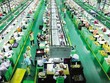 Hoạt động sản xuất - kinh doanh đã bắt đầu phục hồi.
