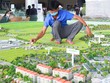 Dự án Aqua City tại Đồng Nai đang ra mắt nhiều phân khu mới. Ảnh: Lê Toàn