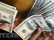 Đồng 100 USD. (Ảnh: AFP/TTXVN)