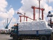 Lượng phân bón nhập khẩu trong nâm 2021 cao gấp 3 lần xuất khẩu.