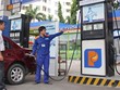 33 doanh nghiệp đầu mối sẽ bị thanh tra hoạt động kinh doanh, giấy phép, nhập khẩu, cơ sở vật chất kho bãi...