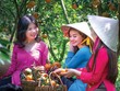 Miền Tây sẽ không chỉ là vựa trái cây, vựa thủy sản…