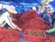 Trung Quốc đã đồng ý cho 5 doanh nghiệp Việt Nam xuất khẩu ớt tươi vào thị trường này theo hình thức chính ngạch.