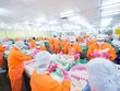 Người lao động làm việc tại Công ty Ấn Độ Dương - một trong bảy công ty con của Nam Việt (Nguồn: ANV).