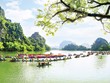 Quần thể danh thắng Tràng An vào hội