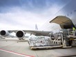 Hồ sơ đệ trình của IPP Air Cargo đã thể hiện Biên bản ghi nhớ việc thuê không có tổ bay (thuê khô) 3 tàu bay B737-800F với Công ty Jetcraft Commercial Limited vào ngày 1/5/2021.
