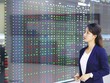 Cổ phiếu ngân hàng đã về mặt bằng hấp dẫn nhưng dòng tiền lớn vẫn chưa vào