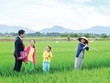 Bảo hiểm nông nghiệp tiềm năng, nhưng không dễ khai thác. Ảnh: Dũng Minh