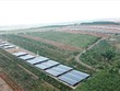 Một dự án điện mặt trời ở tỉnh Gia Lai. Ảnh: Thanh Tuấn