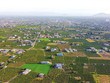 Tỉnh Bình Thuận đang tập trung phát triển ngành nông nghiệp hiện đại, bền vững, có giá trị gia tăng cao