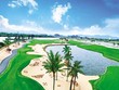 Du lịch gôn đang được xem là “con gà đẻ trứng vàng” cho ngành kinh tế xanh Việt Nam. Trong ảnh: Sân Nicklaus Course tại BRG Đà Nẵng Golf Resort