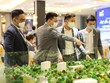 Mức độ quan tâm tới bất động sản vẫn lớn. Ảnh: Trọng Tín