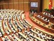 Quốc hội thảo luận ở nghị trường về phát triển kinh tế - xã hội.