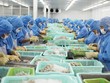 Doanh nghiệp thủy sản kỳ vọng ở quý IV