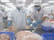 Xuất khẩu cá tra tháng 6 đạt 143 triệu USD, thị trường Trung Quốc là chủ lực