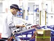 Môi trường kinh tế vĩ mô ổn định, lạm phát vẫn ở mức một con số tiếp tục củng cố niềm tin của nhà đầu tư châu Âu vào môi trường thương mại và đầu tư của Việt Nam. Trong ảnh: Nhà máy của ABB Việt Nam tại Bắc Ninh