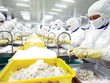 Các doanh nghiệp thủy sản đang gặp khó khăn vì lãi suất quá cao. Ảnh: Đức Thanh