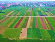 Tháo “nút thắt” về chính sách sử dụng đất nông nghiệp