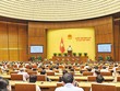 Các đại biểu Quốc hội khóa XV biểu quyết thông qua điều chỉnh chương trình Kỳ họp thứ nhất, bổ sung nội dung trao quyền đặc biệt cho Chính phủ để tăng cường công tác phòng, chống Covid-19