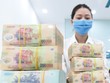 Nhiều ngân hàng đang đẩy mạnh triển khai các gói ưu đãi lãi suất cho vay