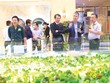 Bất động sản Việt Nam rất hấp dẫn trong mắt nhà đầu tư quốc tế. Ảnh: Dũng Minh